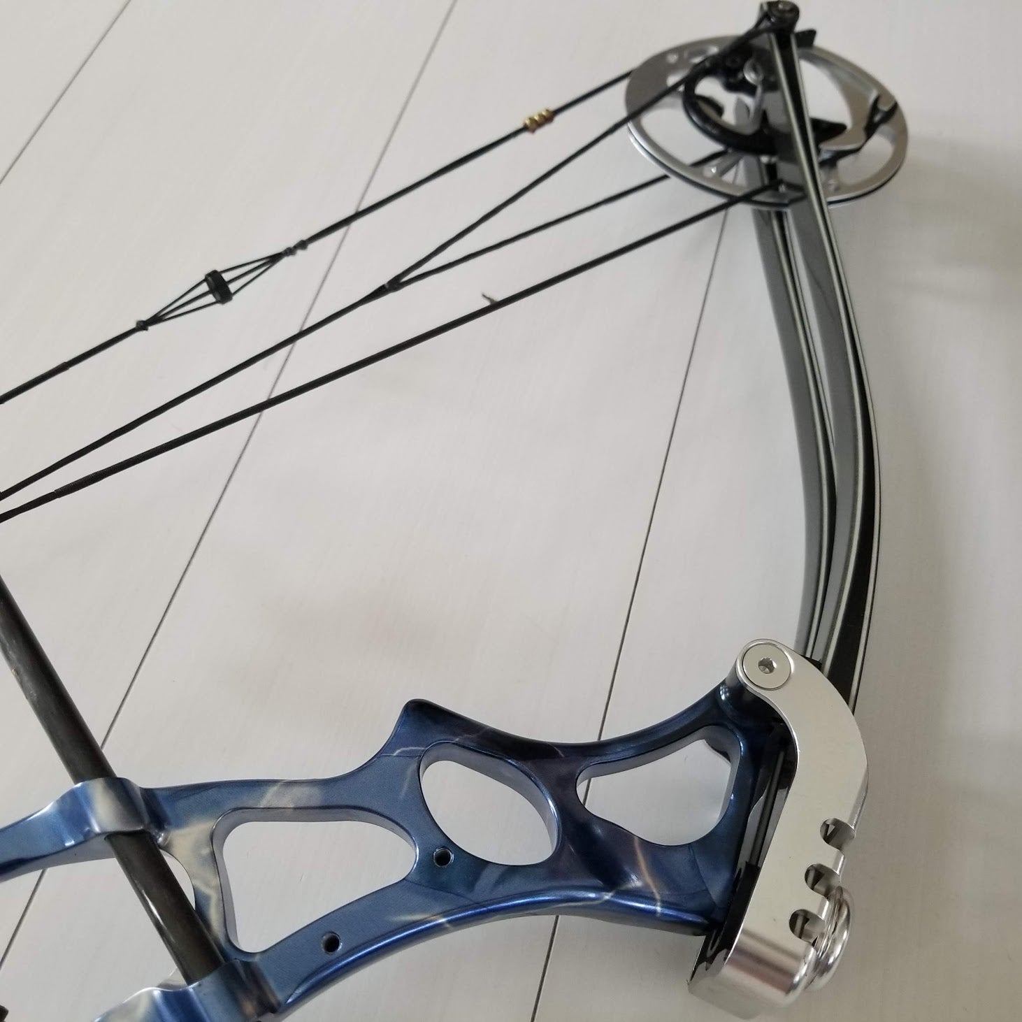 HOYT Selena コンパウンドボウ 実測50ポンド | アシストアーチェリー
