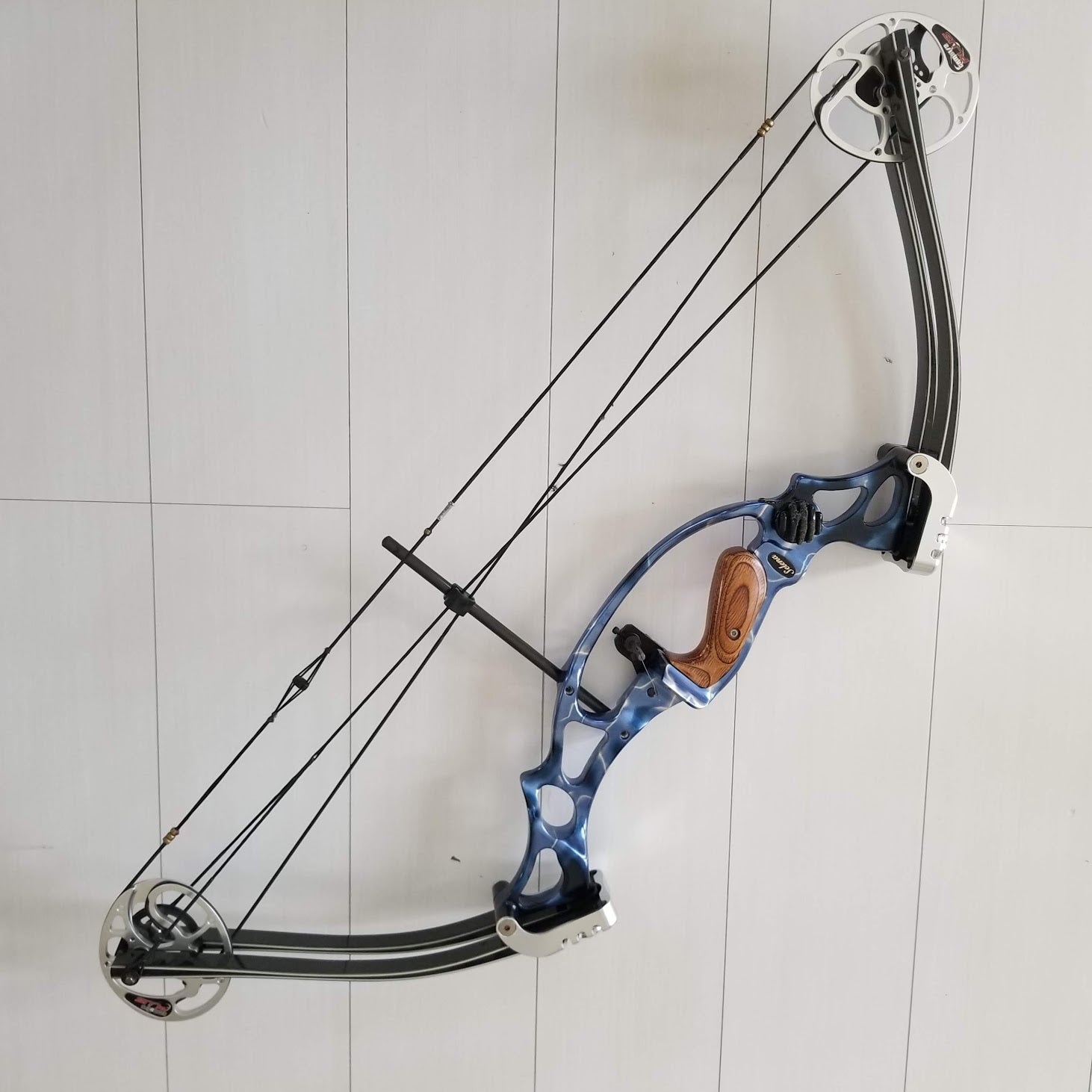 HOYT Selena コンパウンドボウ 実測50ポンド | アシストアーチェリー