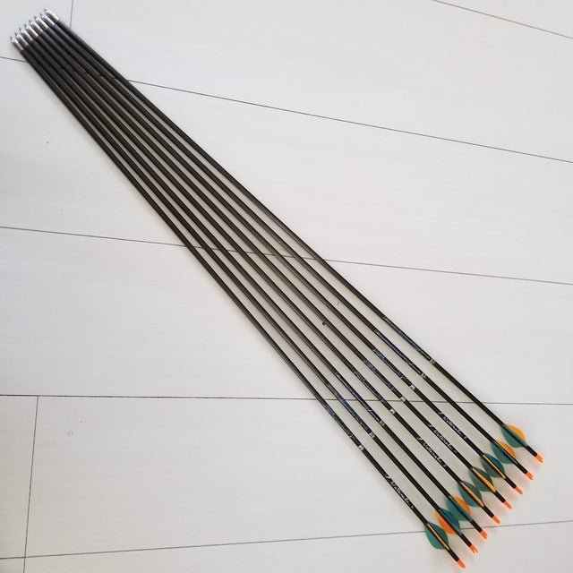 TENPOINT PRO ELITE カーボン矢 ＆ アルミ矢 まとめ売り TENPOINT PRO ELITE カーボン矢 ＆ アルミ矢 まとめ売り